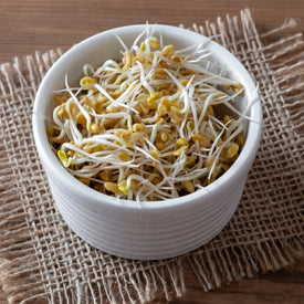 Create a Nourishing Sprouted Fenugreek Salad