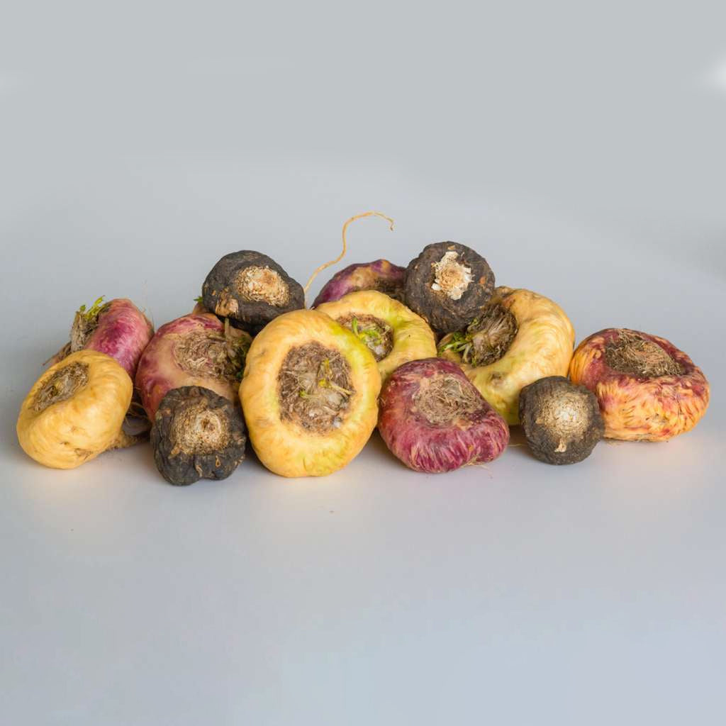 Organic Maca Root Powder